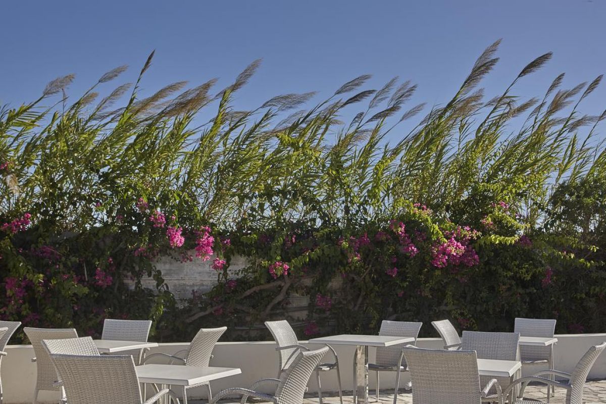 Ammos Resort